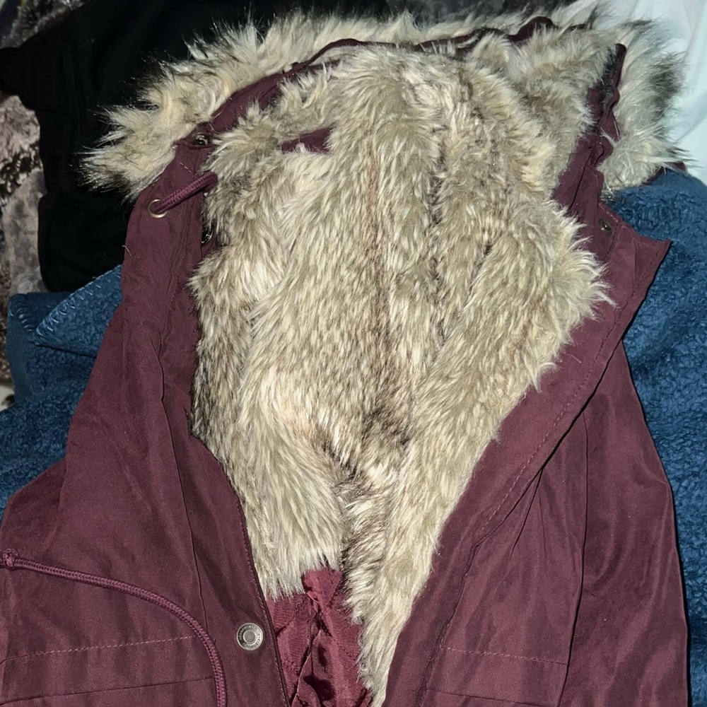 Aeropostale Jacket Burgundy